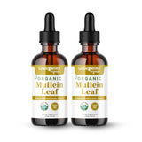 LIQUIDHEALTH Mullein Leaf Extract Drops 1000mg front view
