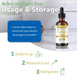 LIQUIDHEALTH Mullein Leaf Extract Drops 1000mg with smoothie