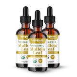 LIQUIDHEALTH Mullein Leaf Extract Drops 375g front view