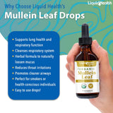 LIQUIDHEALTH Mullein Leaf Extract Drops 375g side view
