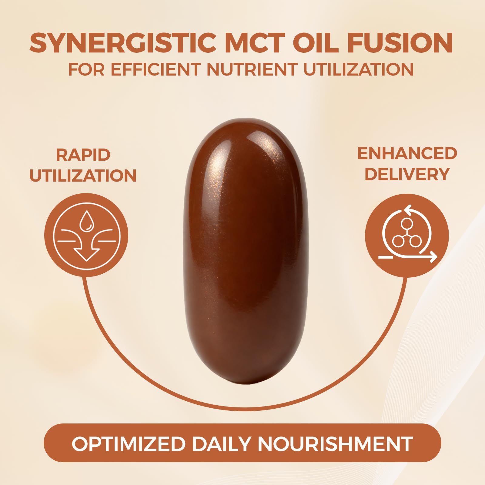 LIRAE Ceylon Cinnamon Softgels back view with ingredient list