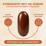 LIRAE Ceylon Cinnamon Softgels back view with ingredient list
