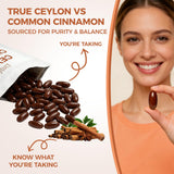 LIRAE Ceylon Cinnamon Softgels with MCT Oil close-up