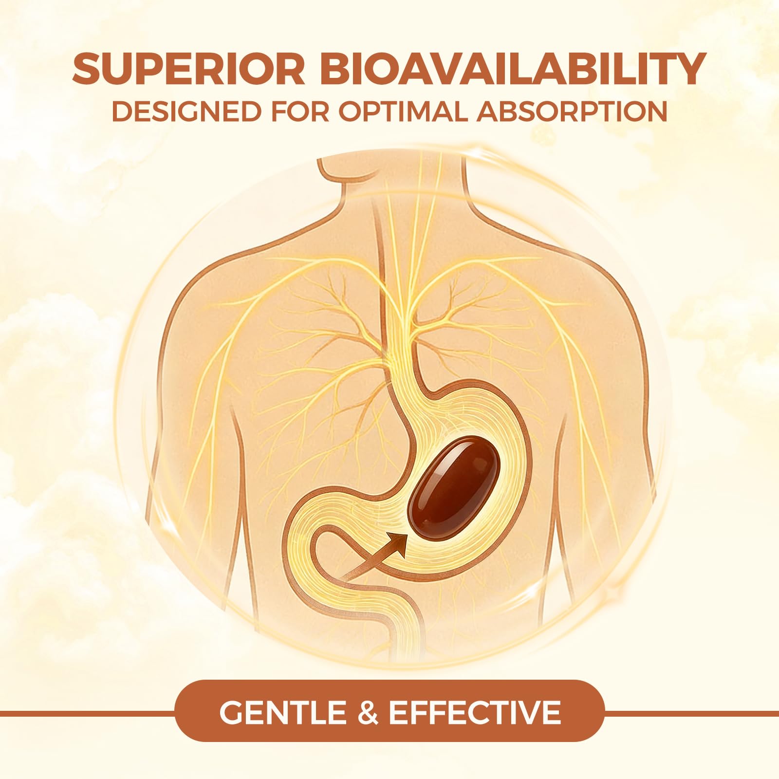 LIRAE Ceylon Cinnamon Supplement back view with nutritional information
