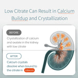 LithoLyte Potassium Citrate Supplement 290g ingredients list