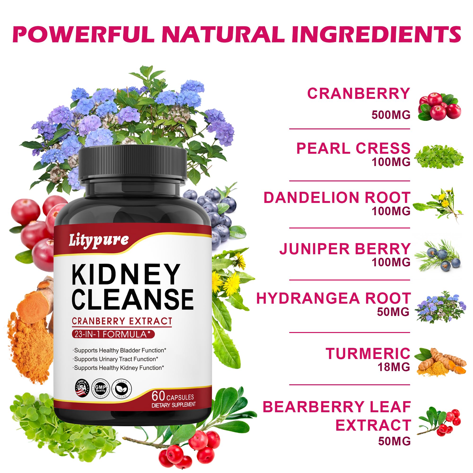 Litypure Cranberry Extract Capsules lifestyle image