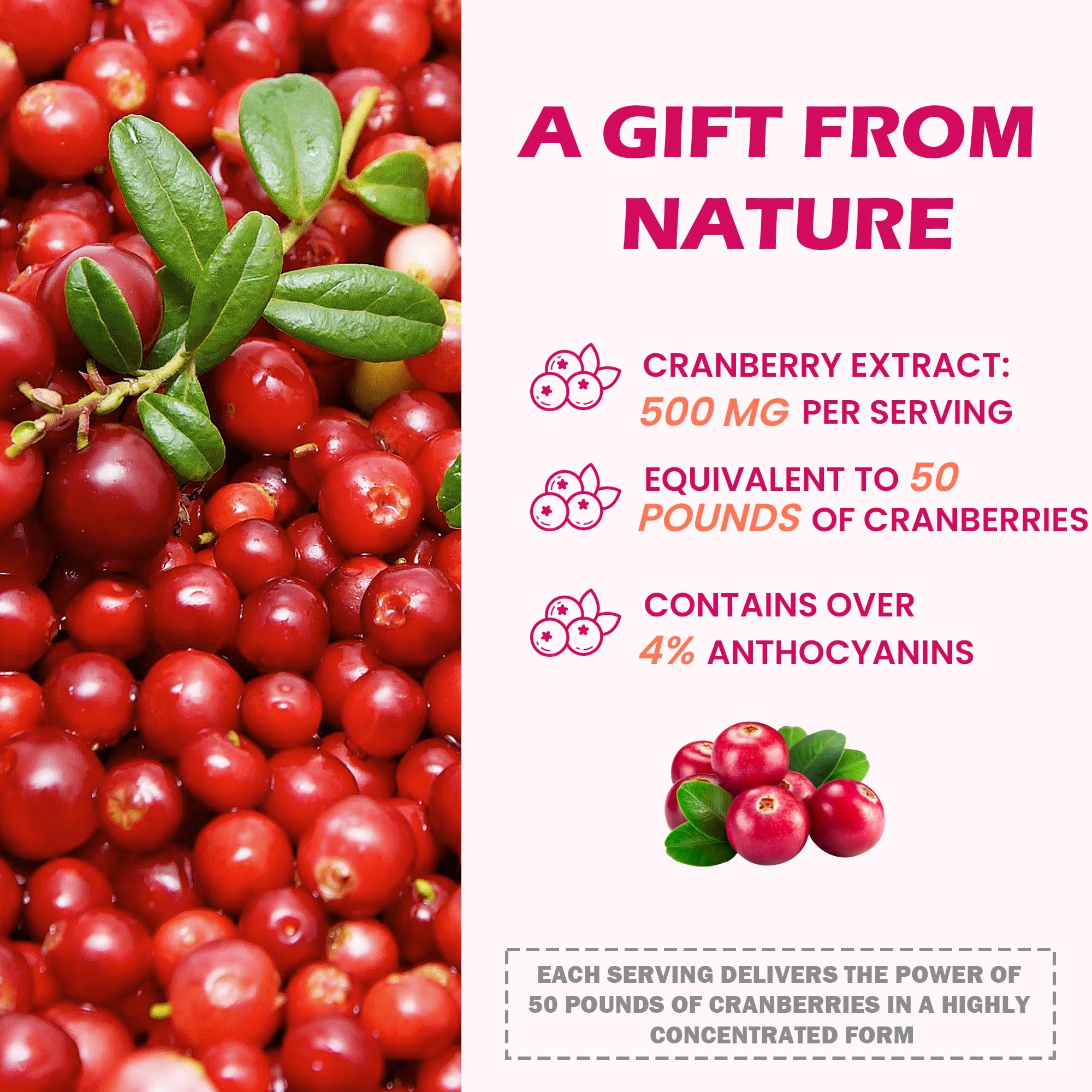 Litypure Cranberry Extract Capsules open bottle with capsules