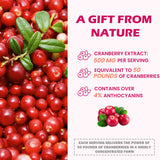 Litypure Cranberry Extract Capsules open bottle with capsules