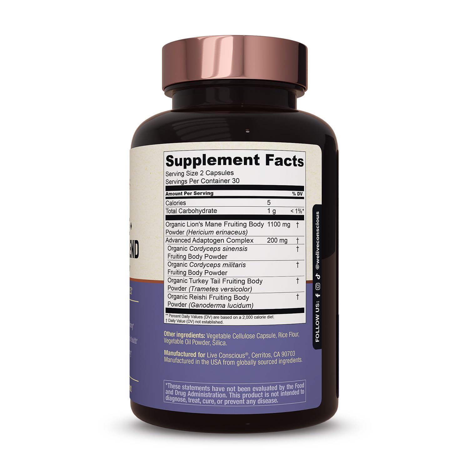Live Conscious Lion's Mane Mushroom Supplement lifestyle scene