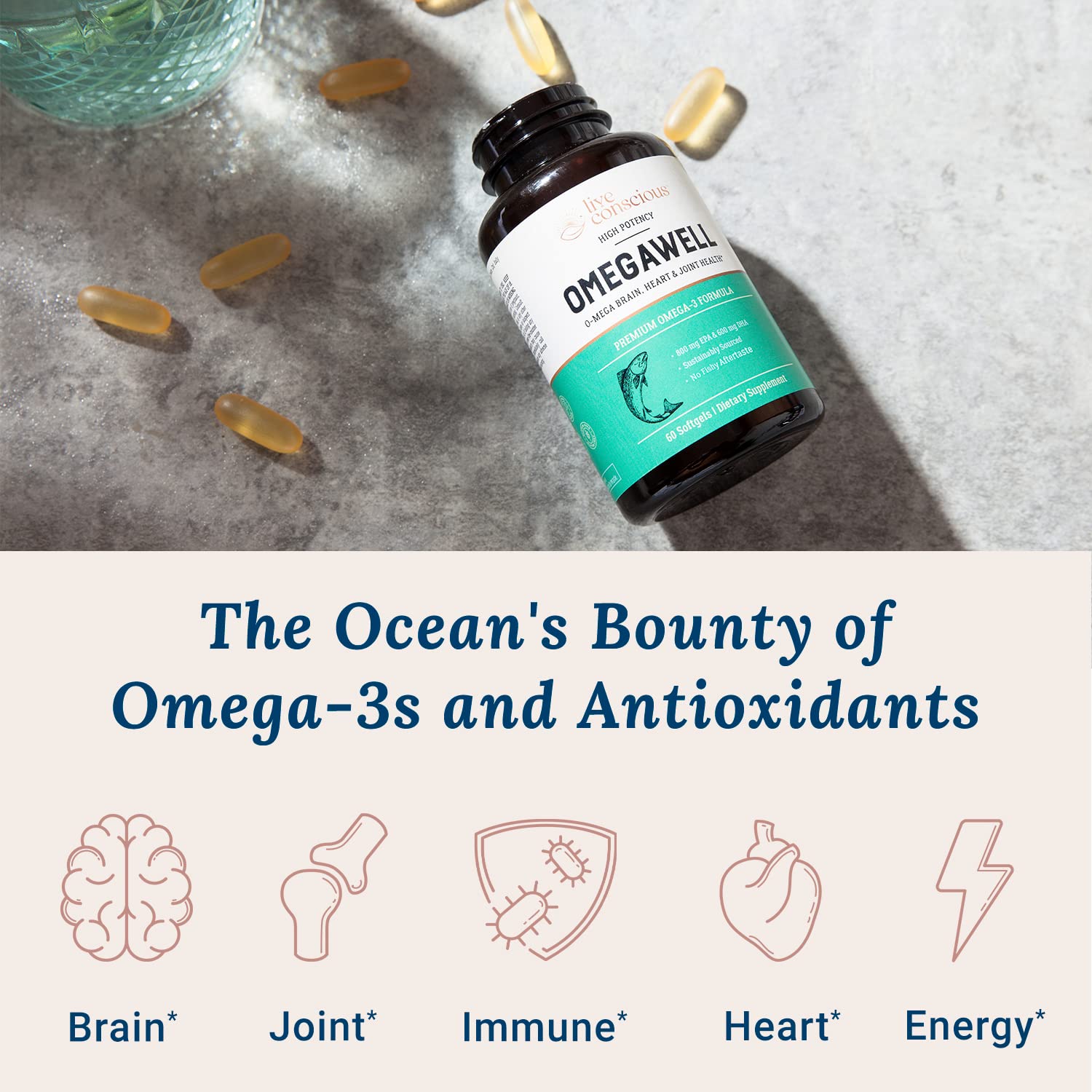 Live Conscious Omega-3 Fish Oil Supplement 2000mg back view