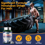 LIVEGIS Himalayan Shilajit capsules back view with dosage instructions