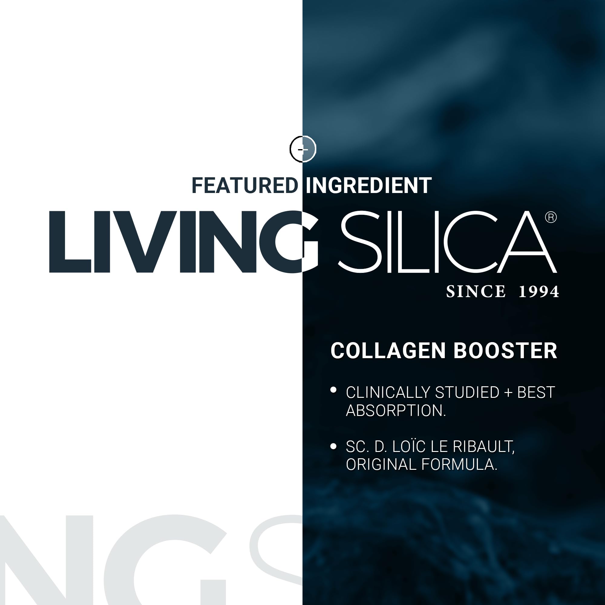 Living Silica Collagen Supplement 100 mL dropper bottle lifestyle scene