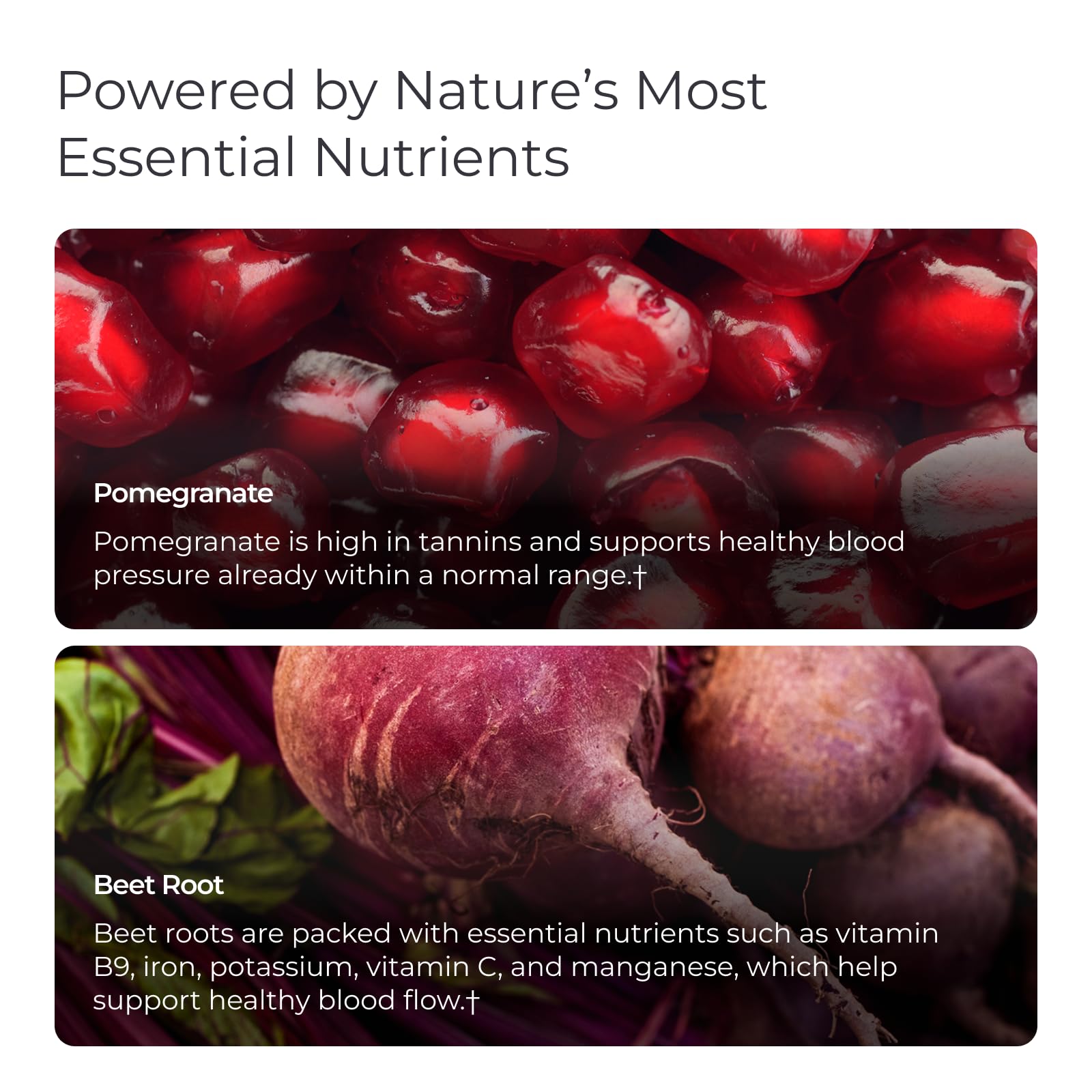 Livingood Daily Blood Pressure Support 150g capsule close-up