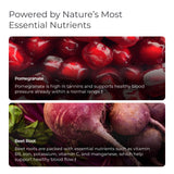 Livingood Daily Blood Pressure Support 150g capsule close-up
