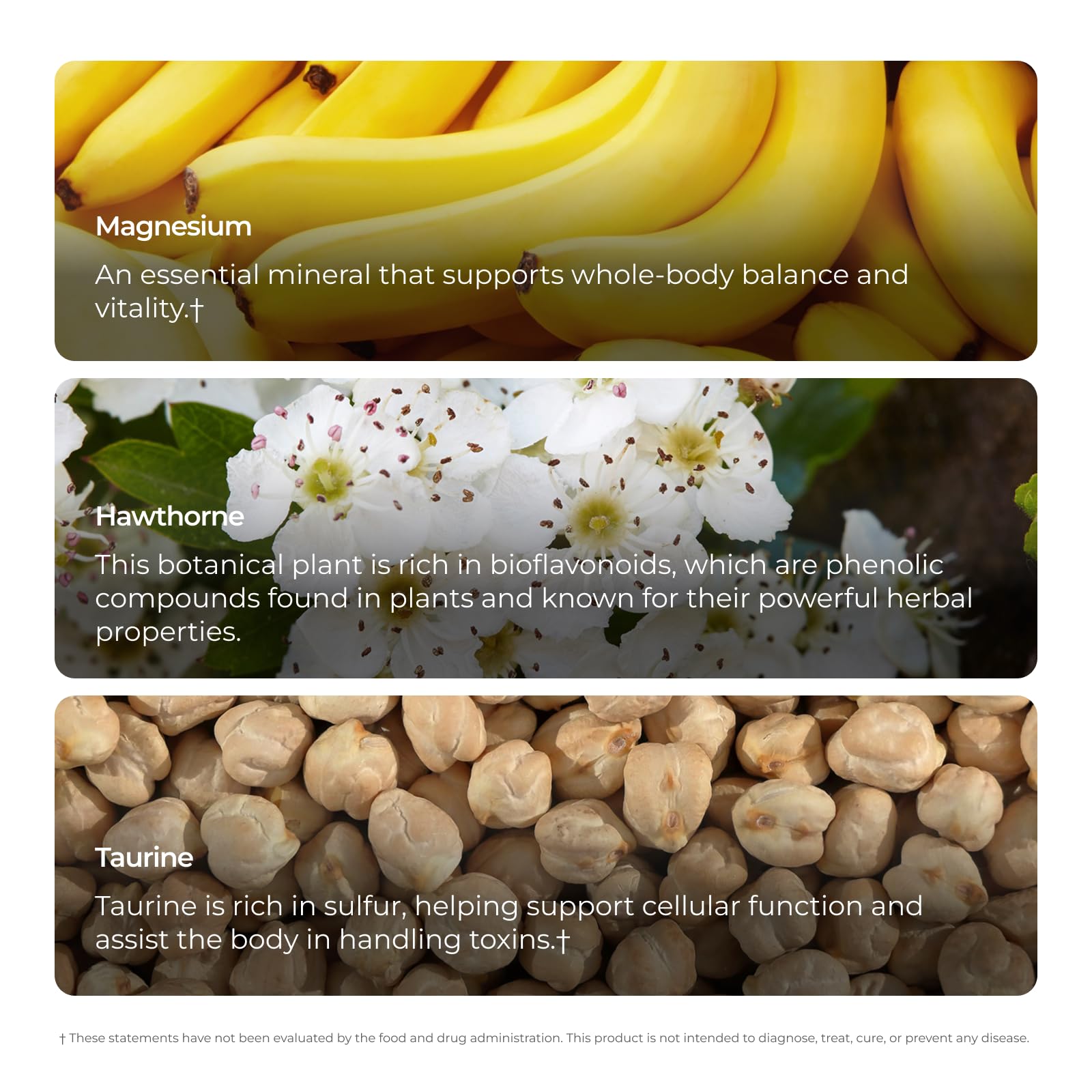 Livingood Daily Blood Pressure Support 150g ingredients list
