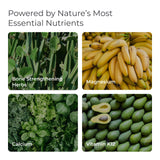 Livingood Daily Bone Support+ capsules in a hand