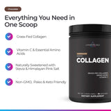 Livingood Daily Chocolate Collagen Powder with ingredients