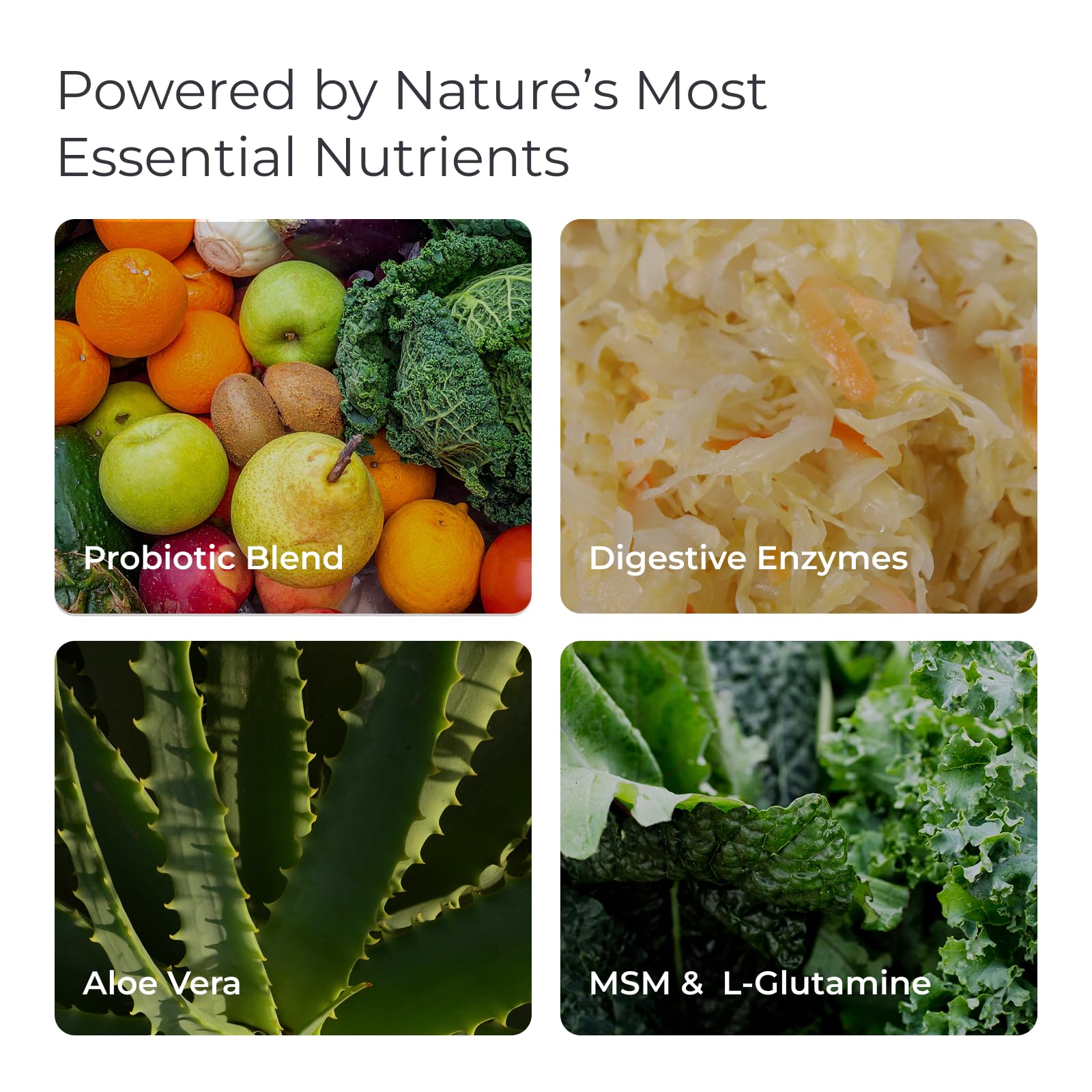 Livingood Daily GI Support L-Glutamine ingredients list