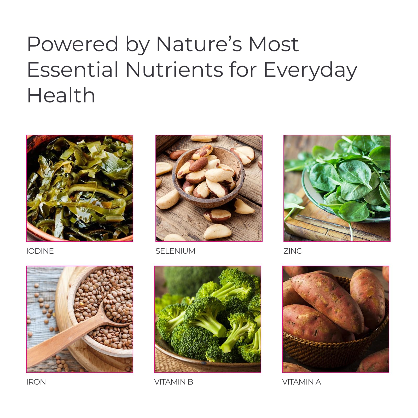 Livingood Daily Methylated Multivitamin ingredients list