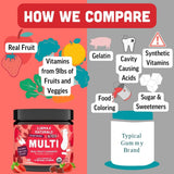 Llama Naturals Kids Multivitamin Gummies organic fruit ingredients