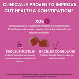 Llama Naturals Probiotic and Prebiotic Gummies mixed berry flavour