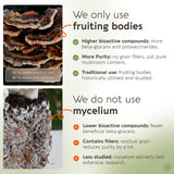 Longevity Botanicals Power 15 Mushroom Blend back of packaging