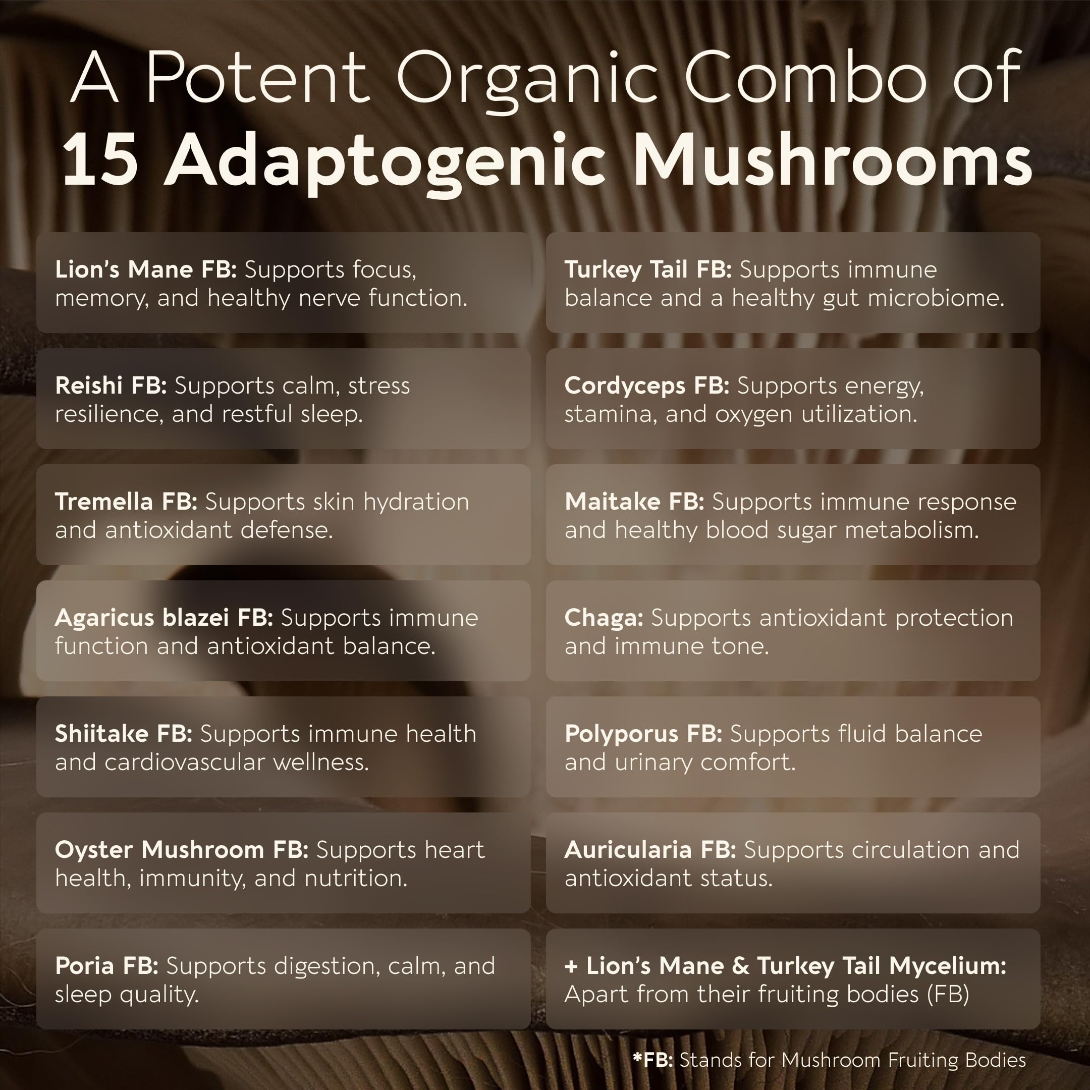 Longevity Botanicals Power 15 Mushroom Blend packaging side view