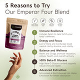 Longevity Botanicals Power 15 Mushroom Blend powder in a bowl