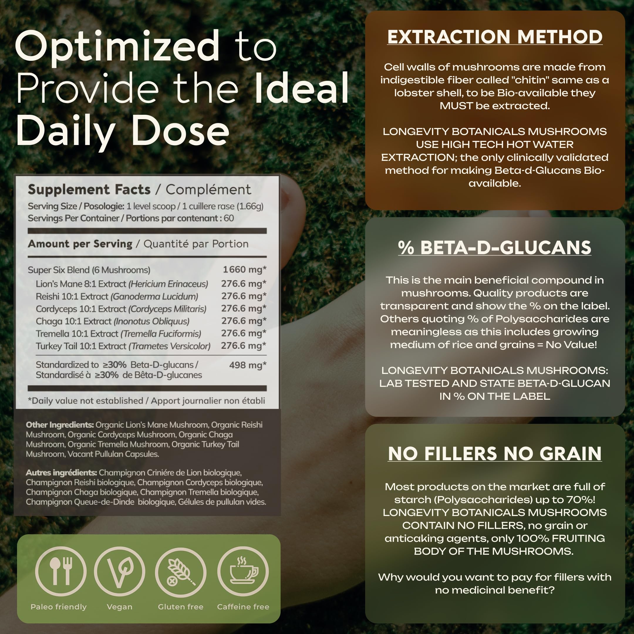 Longevity Botanicals Super Six Mushroom Blend on a kitchen counter