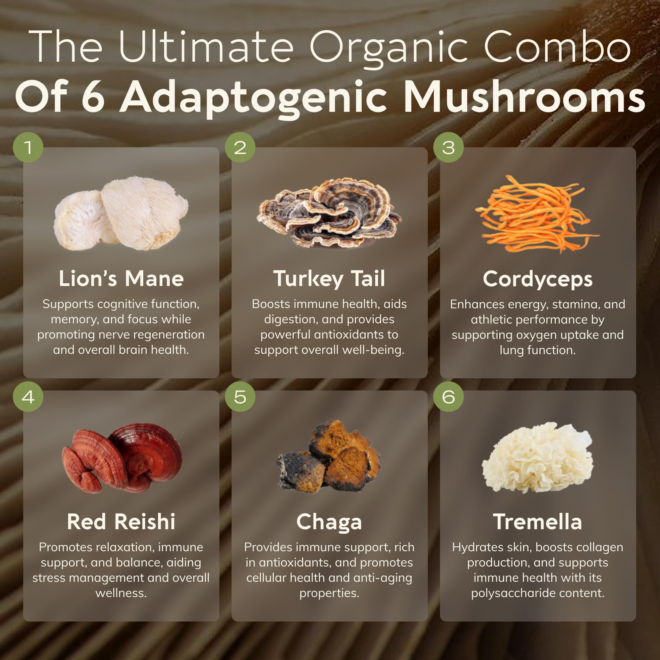 Longevity Botanicals Super Six Mushroom Blend packaging
