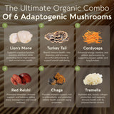 Longevity Botanicals Super Six Mushroom Blend packaging