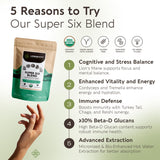 Longevity Botanicals Super Six Mushroom Blend powder texture