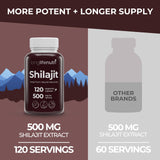 LongLifeNutri Shilajit Capsules 500mg bottle with lid