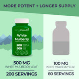 LongLifeNutri White Mulberry Leaf Extract bottle with label
