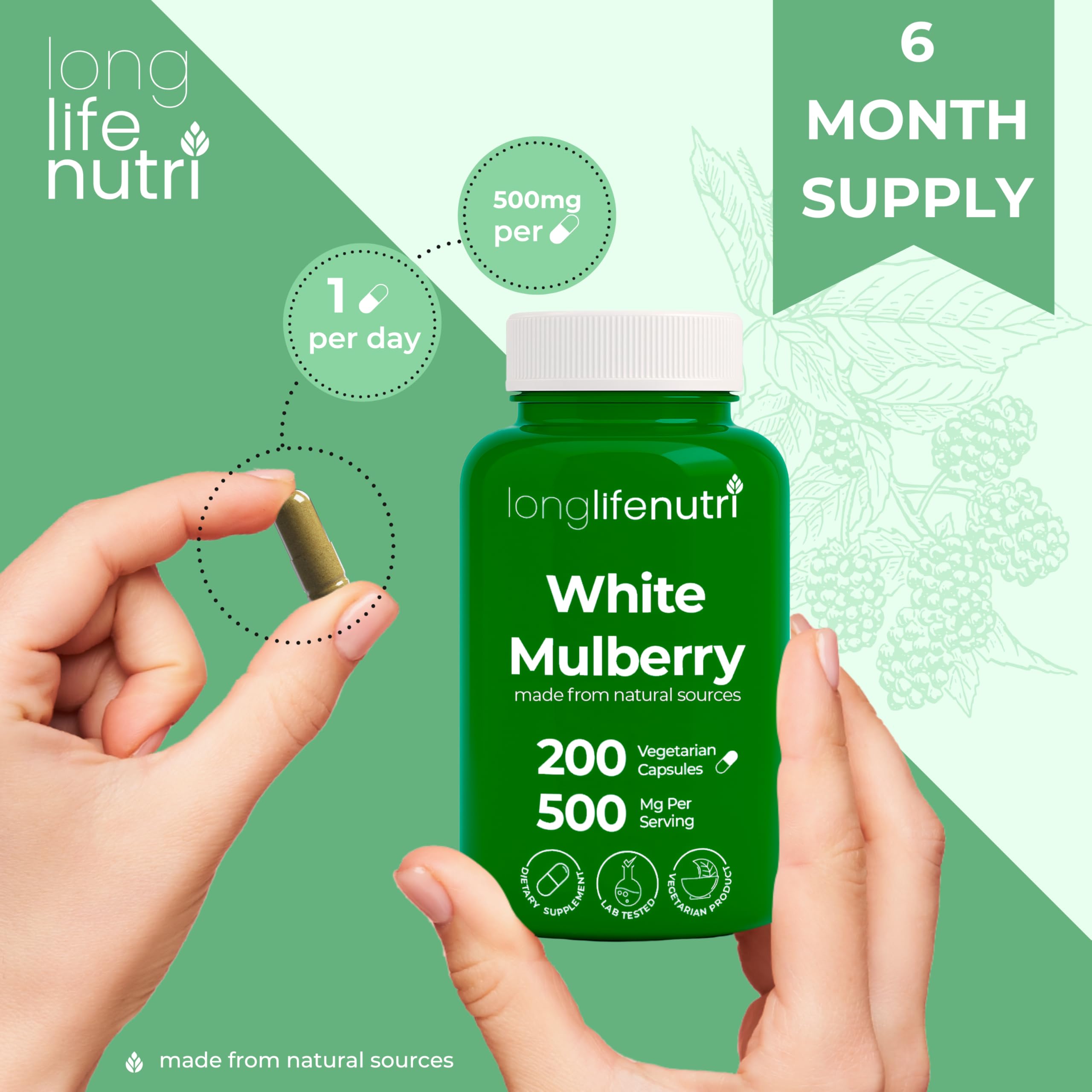 LongLifeNutri White Mulberry Leaf Extract capsules with a pill organizer