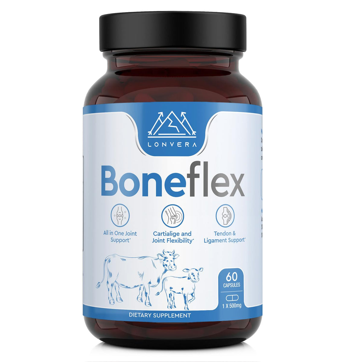 Lonvera Chondroitin 6-in-1 Joint Support Formula front view