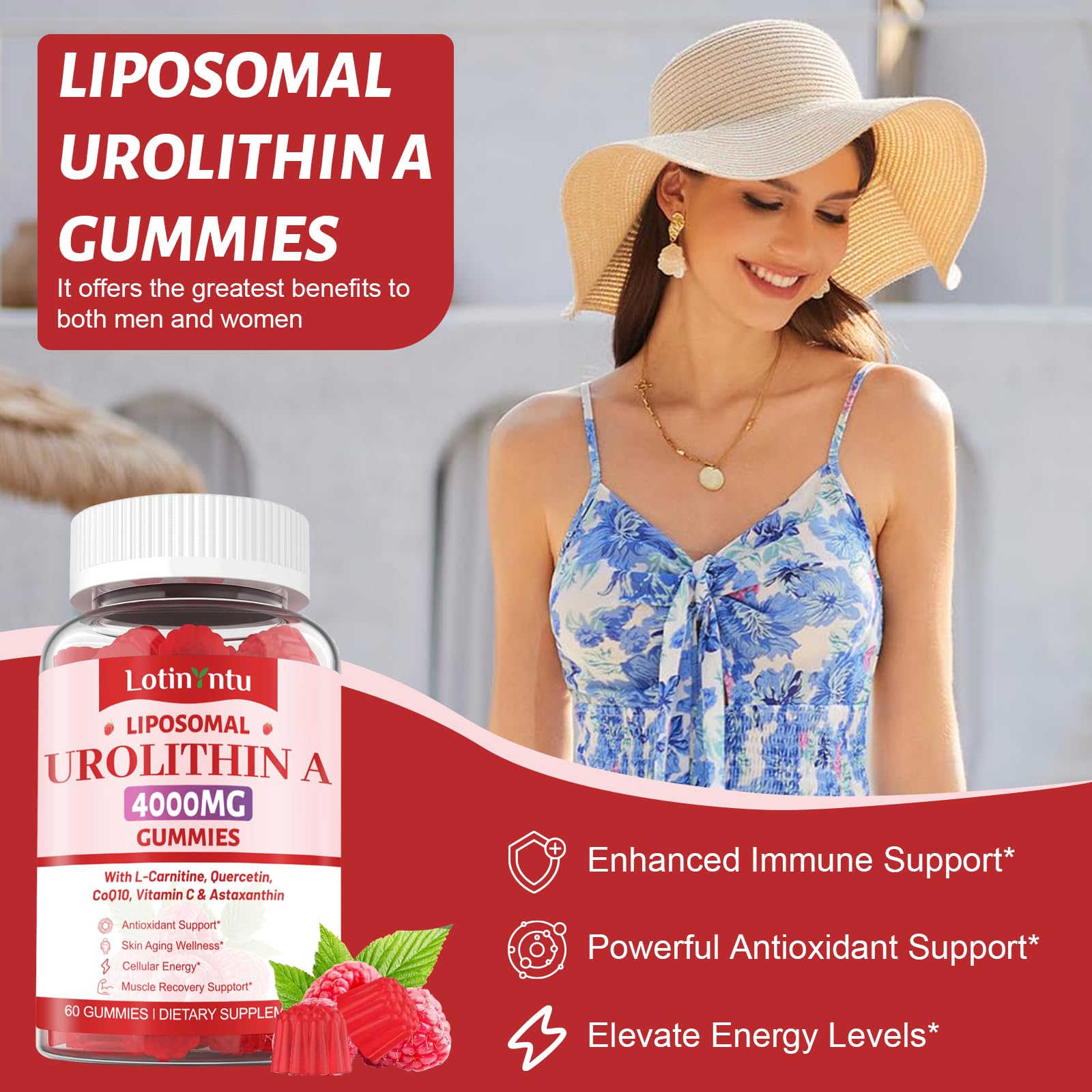LotinYntu Urolithin A Gummies nutritional information