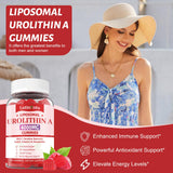 LotinYntu Urolithin A Gummies nutritional information