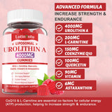 LotinYntu Urolithin A Gummies showing gummies in a bowl
