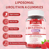 LotinYntu Urolithin A Gummies with ingredients list