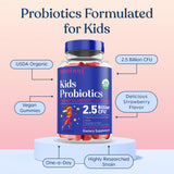 LOVEBUG Organic Strawberry Probiotic Gummies ingredients list