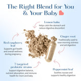 LOVEBUG Probiotics for Infants herbal blend ingredients