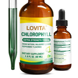 LOVITA Chlorophyll Liquid Supplement bottle front view