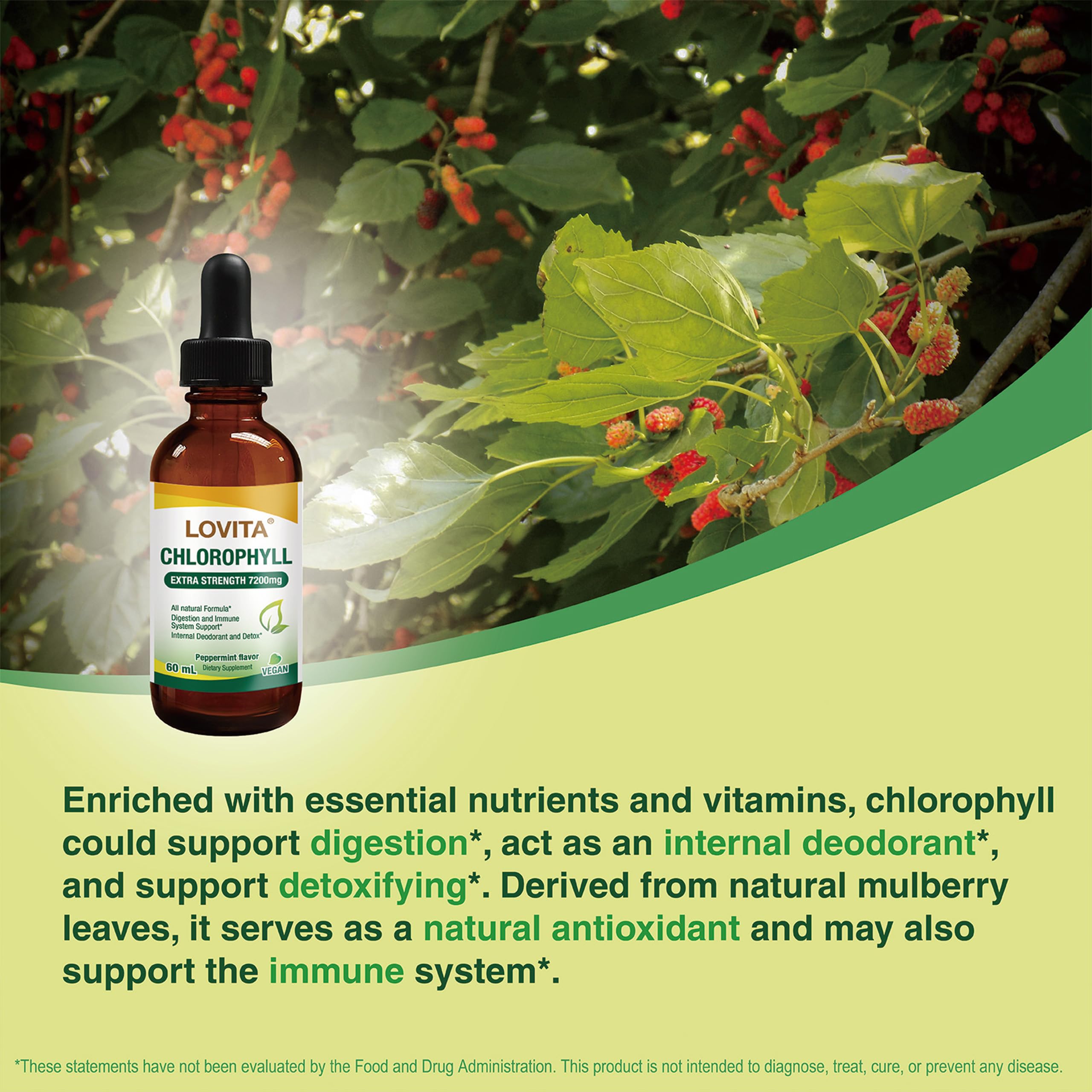 LOVITA Chlorophyll Liquid Supplement bottle on a kitchen counter