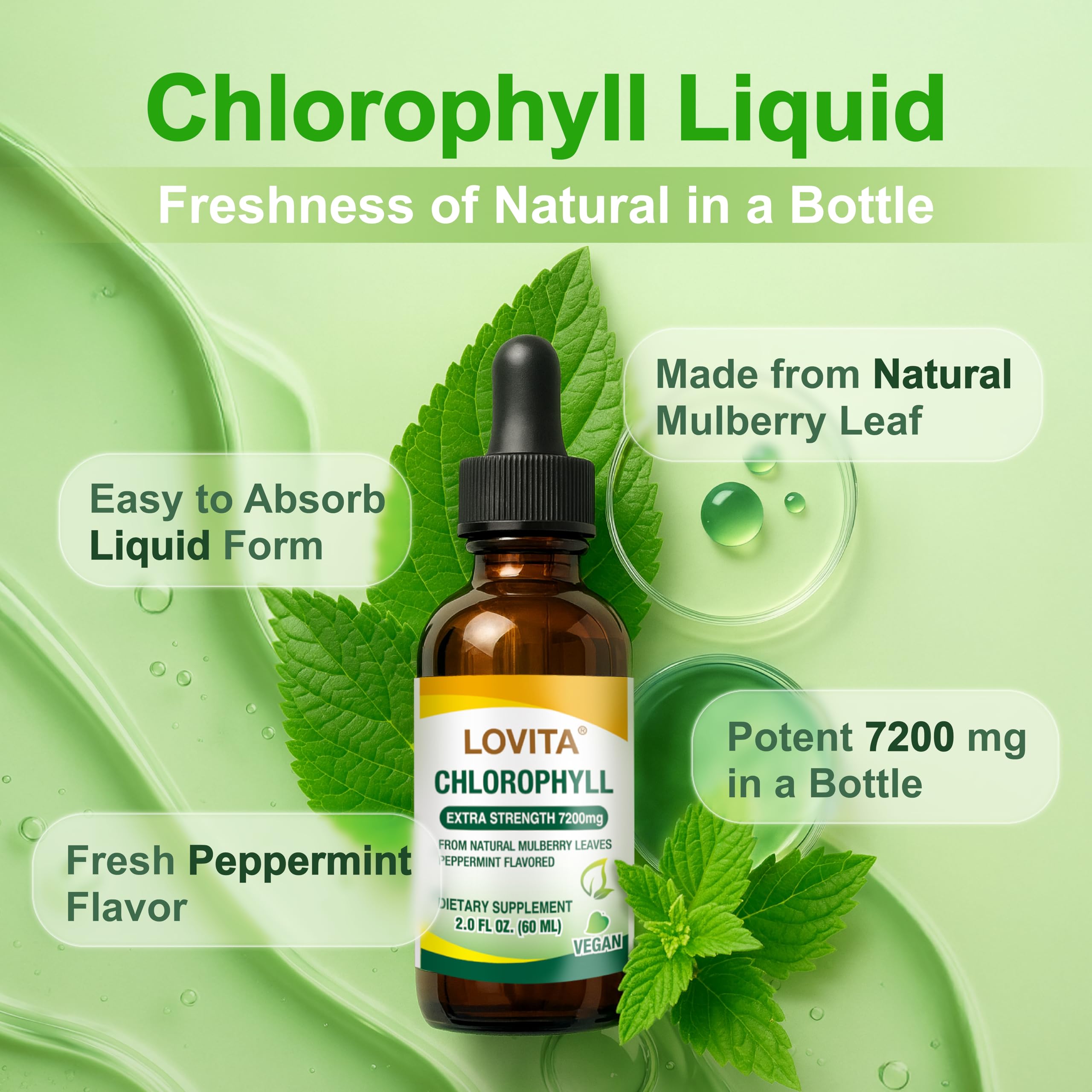 LOVITA Chlorophyll Liquid Supplement bottle side view
