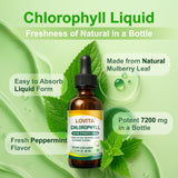 LOVITA Chlorophyll Liquid Supplement bottle side view