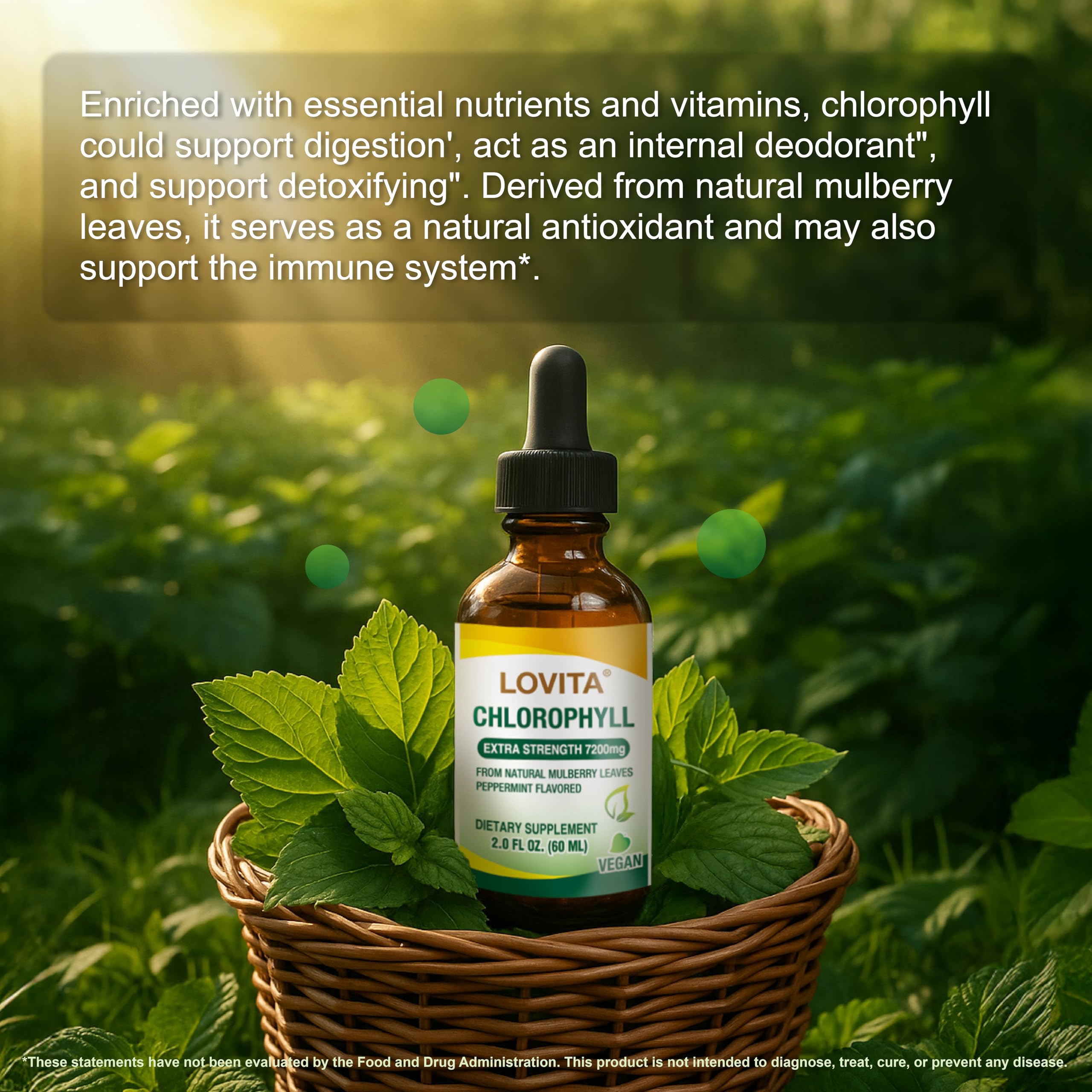 LOVITA Chlorophyll Liquid Supplement bottle with smoothie