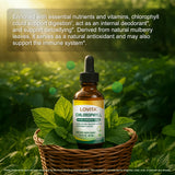 LOVITA Chlorophyll Liquid Supplement bottle with smoothie