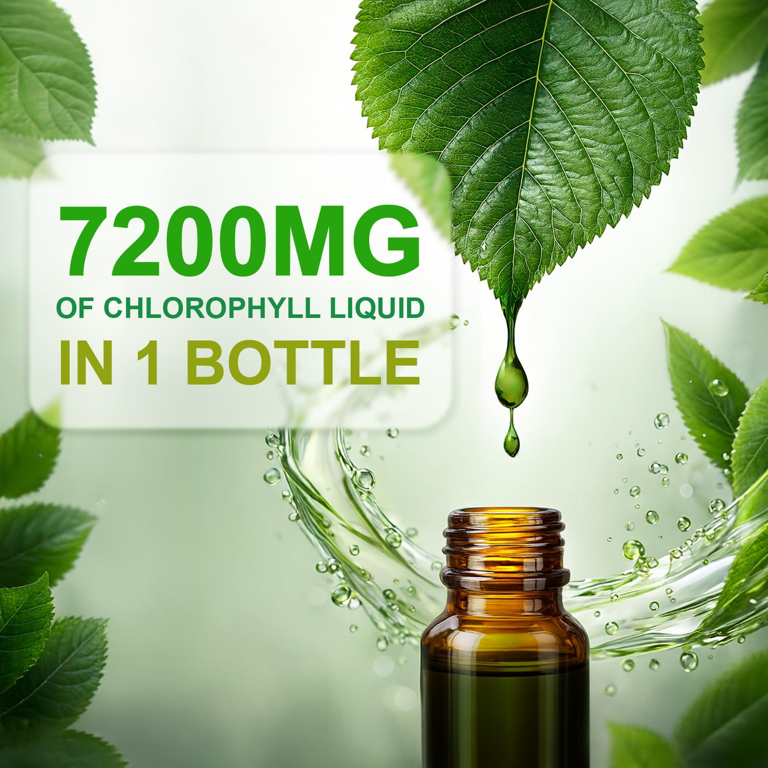 LOVITA Chlorophyll Liquid Supplement with peppermint leaves