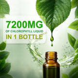 LOVITA Chlorophyll Liquid Supplement with peppermint leaves